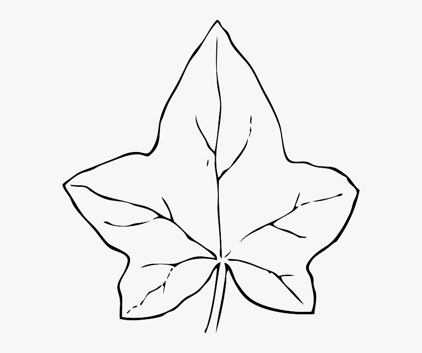 Transparent Pumpkin Outline Clipart Black And White - Leaf Clipart Black And White, HD Png Download