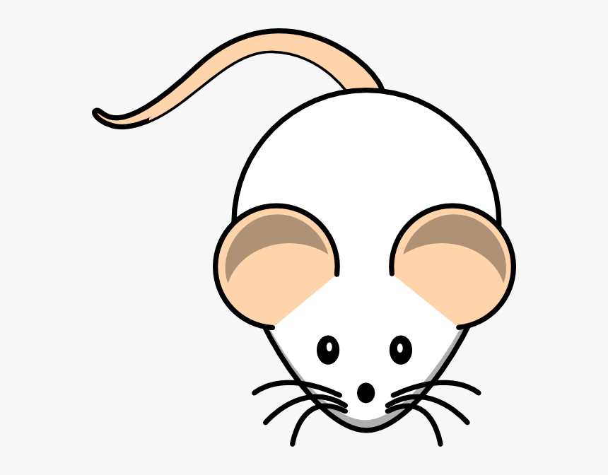 Pet Rat Clipart - Rat Clipart, HD Png Download , Transparent Png Image