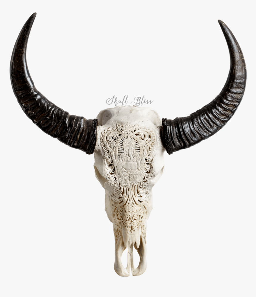 Bull, HD Png Download