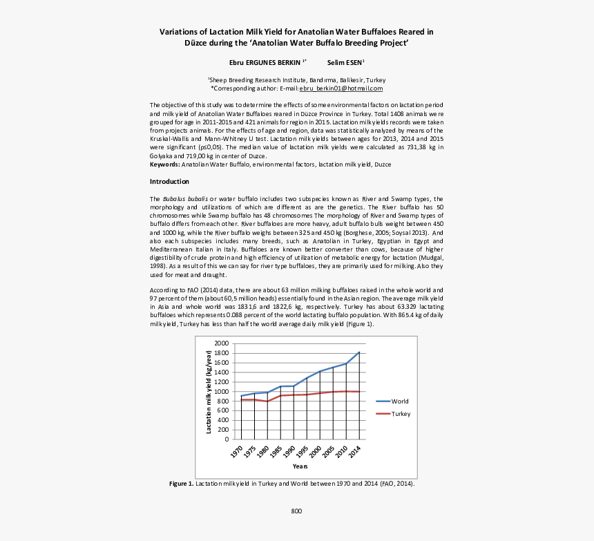 Document, HD Png Download