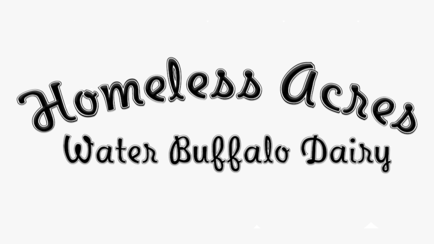 Picture - Calligraphy, HD Png Download