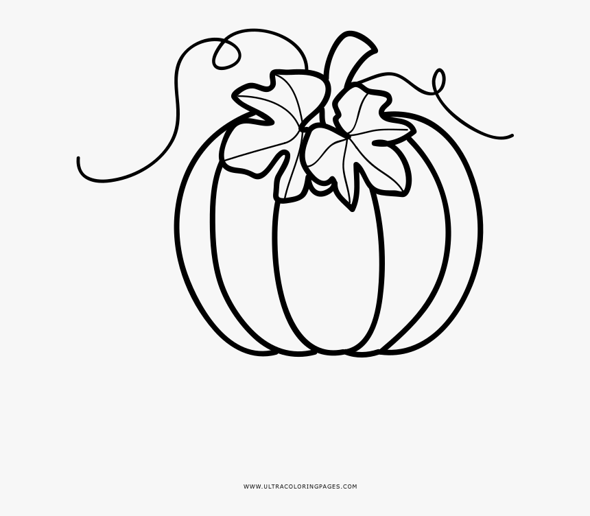Hd Pumpkin Coloring Page - Pumpkin Clipart Color Page, HD Png Download
