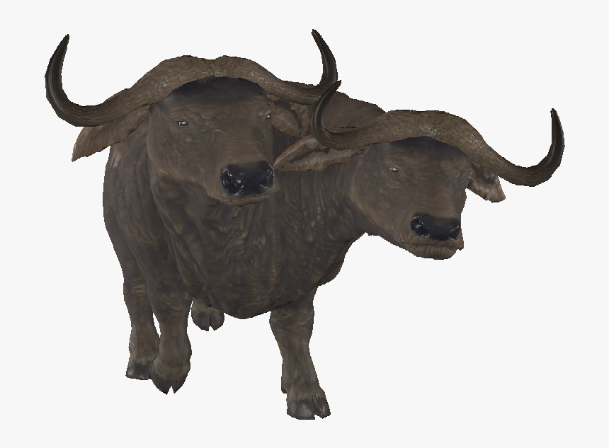 Dlc04encbrahmiluff02 - Bull, HD Png Download