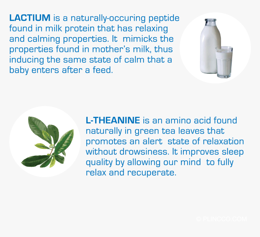 Transparent Gallon Of Milk Clipart - Milk, HD Png Download