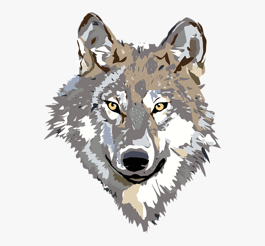 Wolf, Face, Head, Gray, Brown, Animal, Wild, Predator - Wolf Clipart Png, Transparent Png
