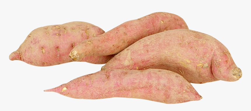 Sweet Potato Png, Transparent Png
