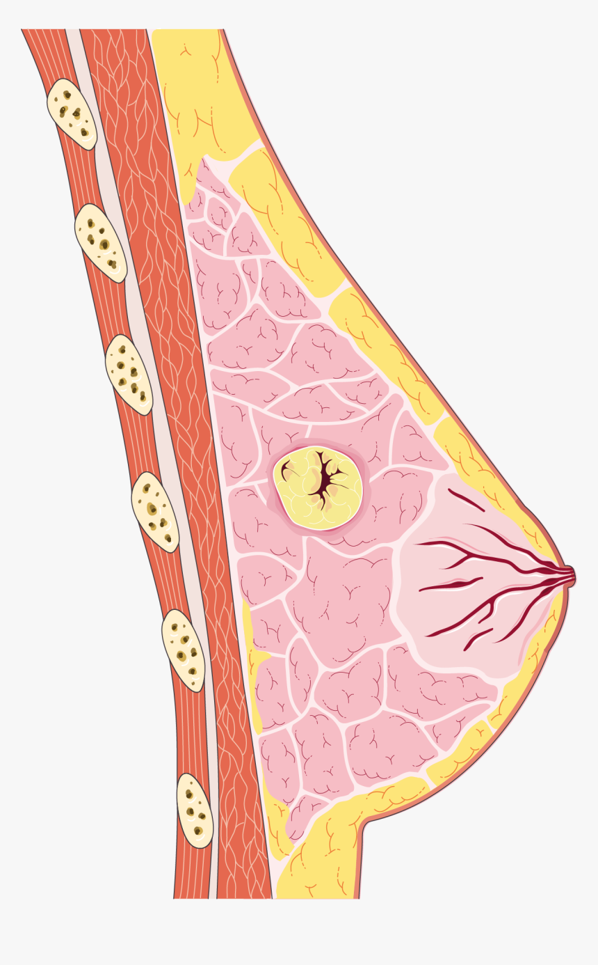 Motif, HD Png Download