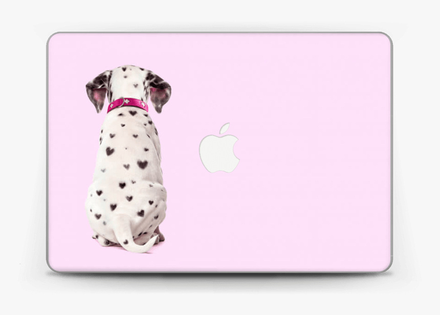 Puppy Sitting Back View , Png Download - Dalmatian, Transparent Png