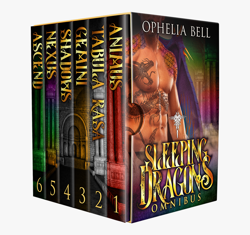 Flyer, HD Png Download