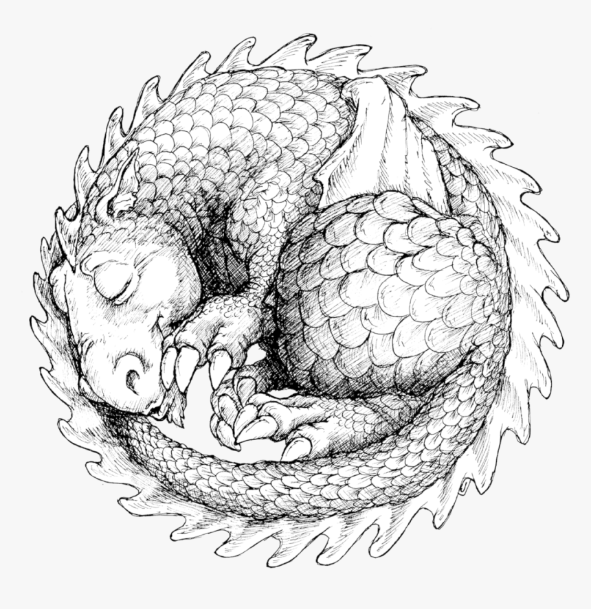 T-shirt Design - Line Art, HD Png Download