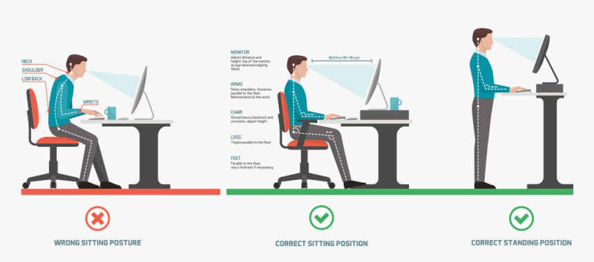 Check Your Body Posture - Workstation Ergonomics, HD Png Download