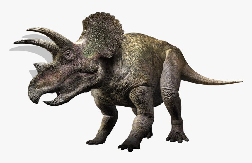 Triceratop Png Transparent - History Channel After 12 Meme, Png Download