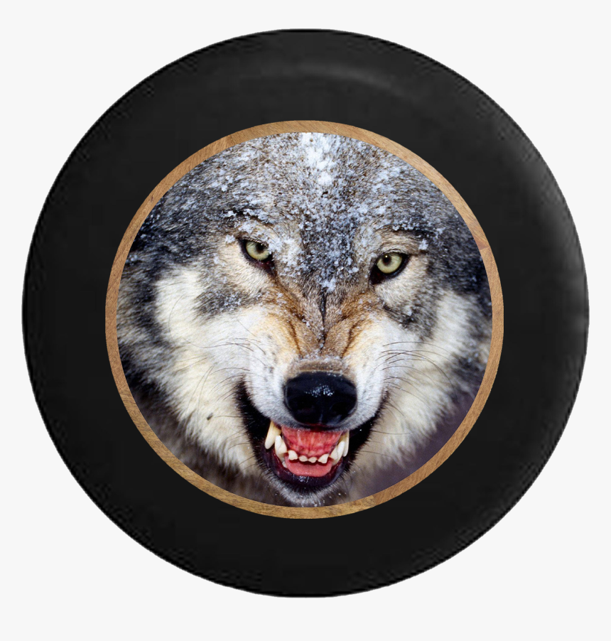 Growling American Grey White Lone Wolf Rv Camper Spare - Ulug Bek Baxshi Qo Shiqlari, HD Png Download