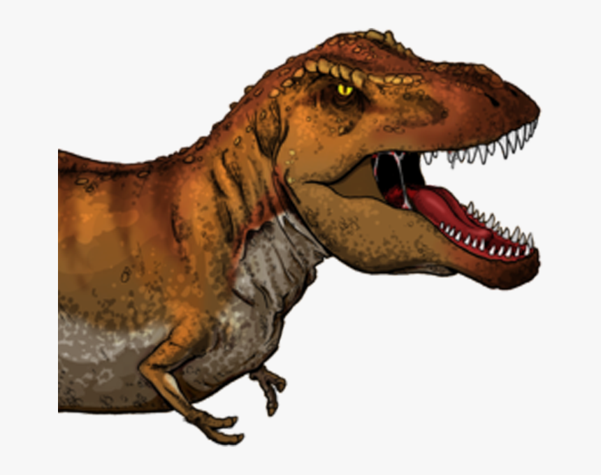 It Is Sized To Fit The Dinosaur Is Sized To Fit The - Tyrannosaurus Rex En Ingles, HD Png Download
