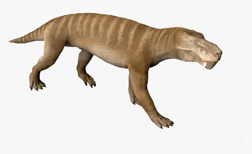 View Samegoogleiqdbsaucenao 986143 Orig , - Gorgonopsid Dinosaur, HD Png Download