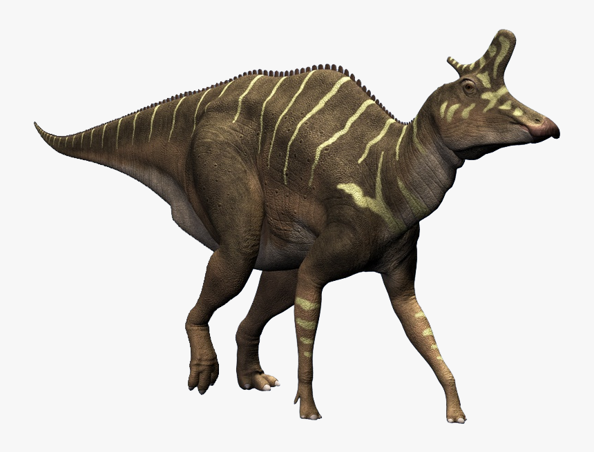 Lambeosaurus Png, Transparent Png