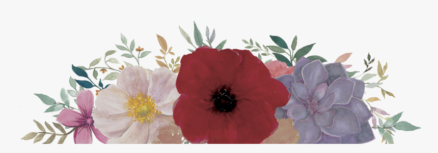 Corn Poppy, HD Png Download