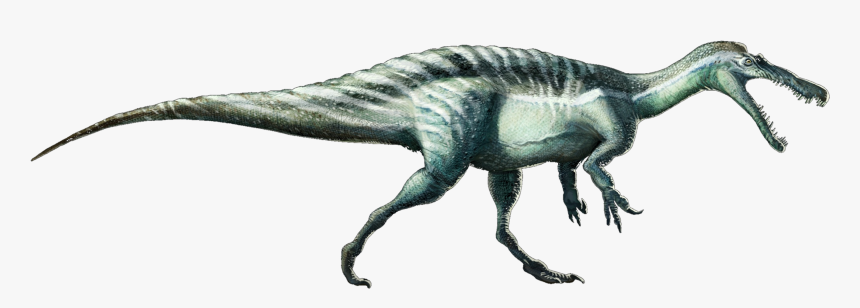 Suchomimustenerensis - Suchomimus Png, Transparent Png