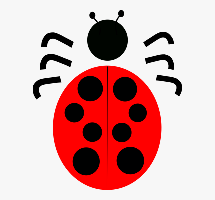 Pola Kumbang, HD Png Download