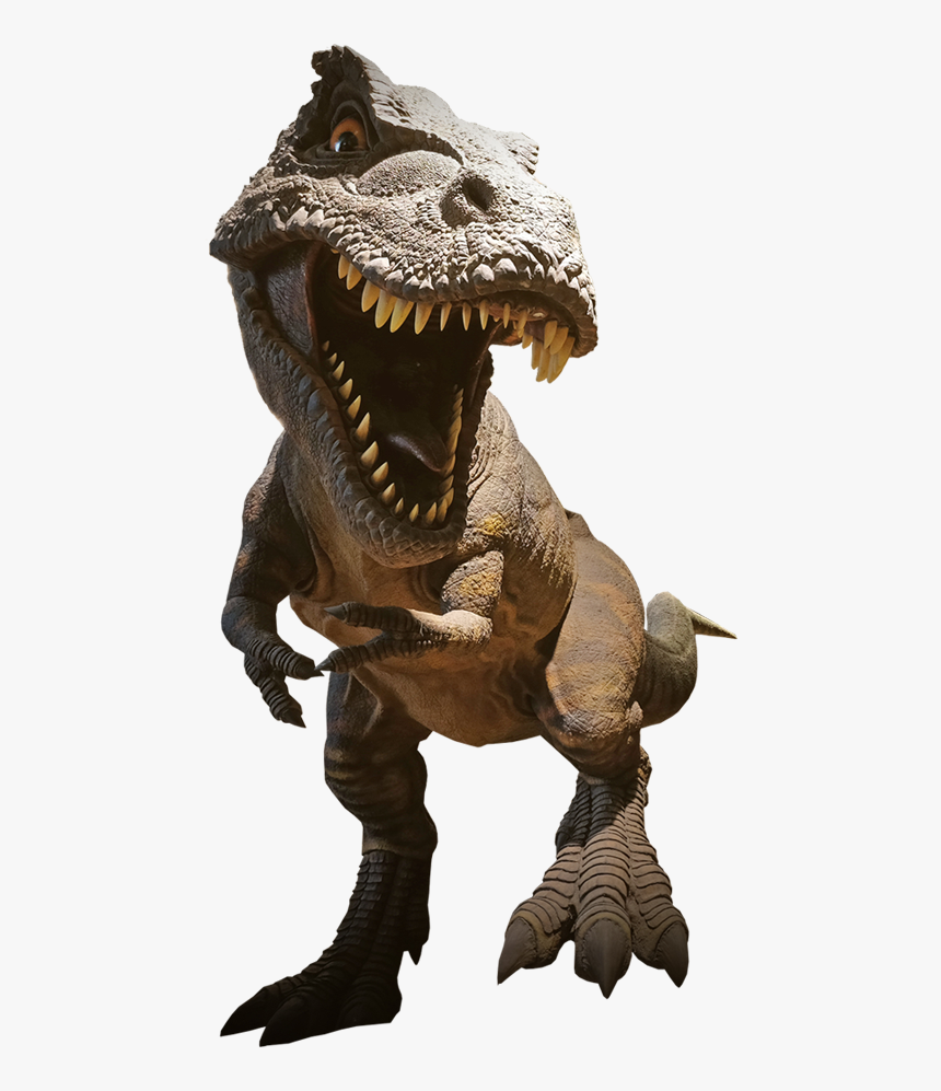 T Rex, HD Png Download
