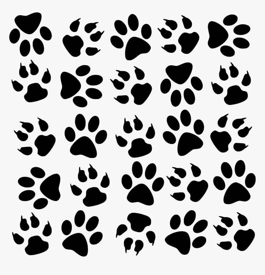 Colorful Paw Print Clipart, HD Png Download