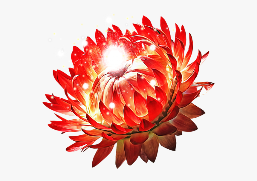 Protea, HD Png Download , Transparent Png Image - PNGitem
