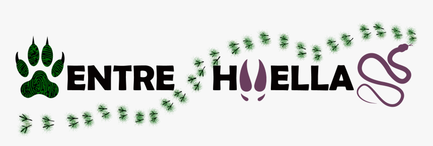 Entrehuellas - Top - Graphic Design, HD Png Download