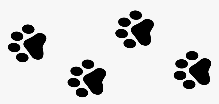 Paws For Books Book Fair, HD Png Download