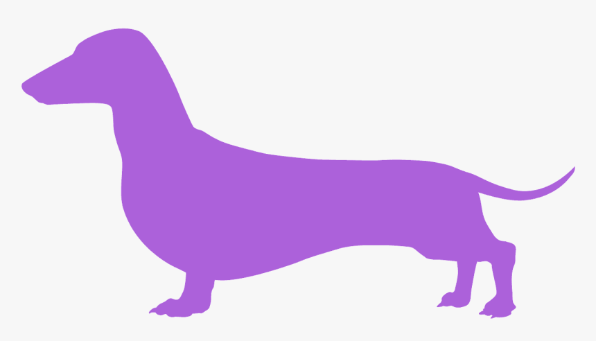 Dachshund Black And White Clipart, HD Png Download