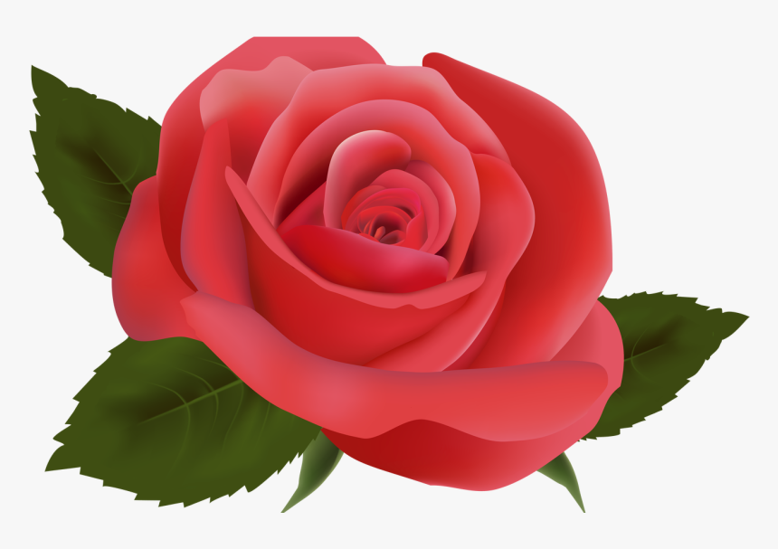 Red Rose Png Image Clipart Deseos De Migdalia Pinterest - Transparent Background Rose Png, Png Download