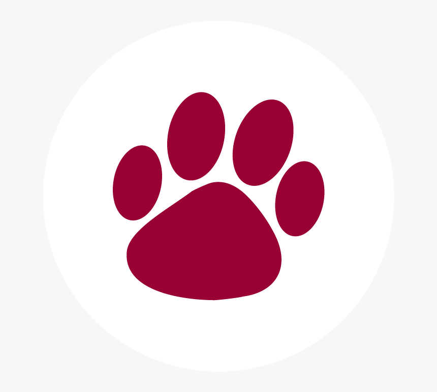 Not Sure If Your Dog Or Cat Was Vaccinated As A Puppy - Yellow And Black Paw Print, HD Png Download