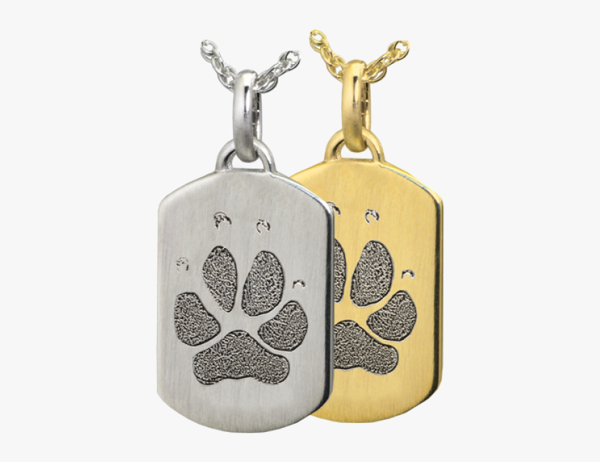 Jewellery, HD Png Download