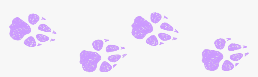 Butterfly, HD Png Download