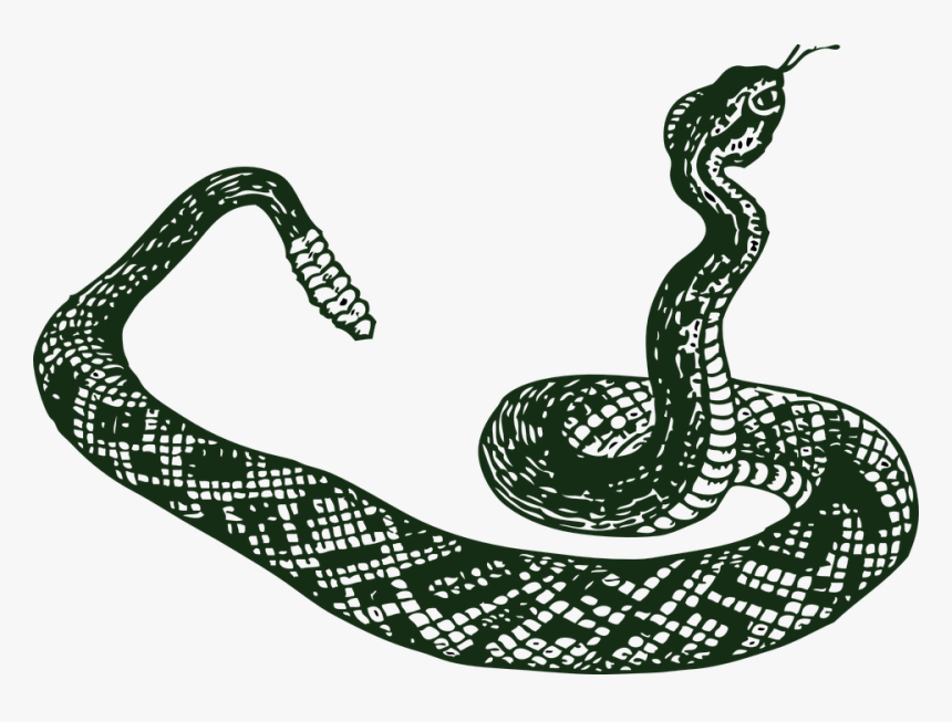 Rattle Snake, Serpent, Snake, Tribal, Rattler, Danger - Snake Clip Art, HD Png Download