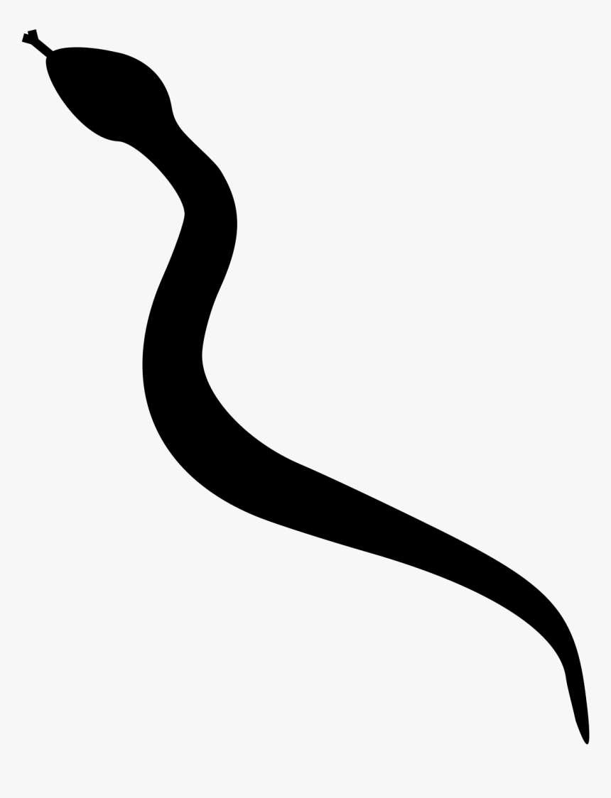 Silhouette Of A Snake, HD Png Download