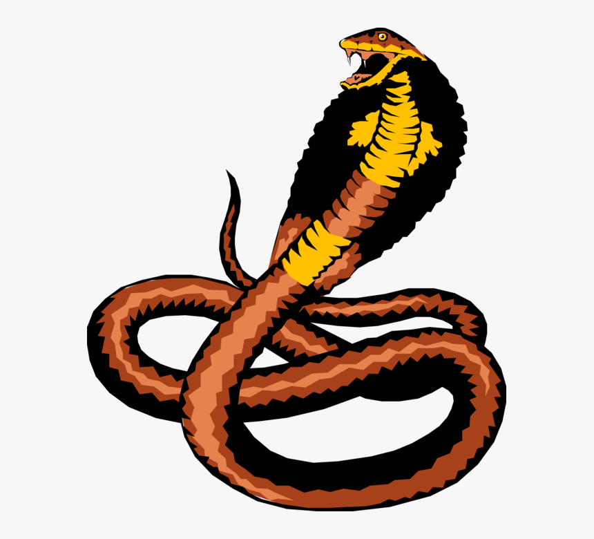 Vector Illustration Of Reptile Cobra Snake Ready To - Cobra, HD Png Download