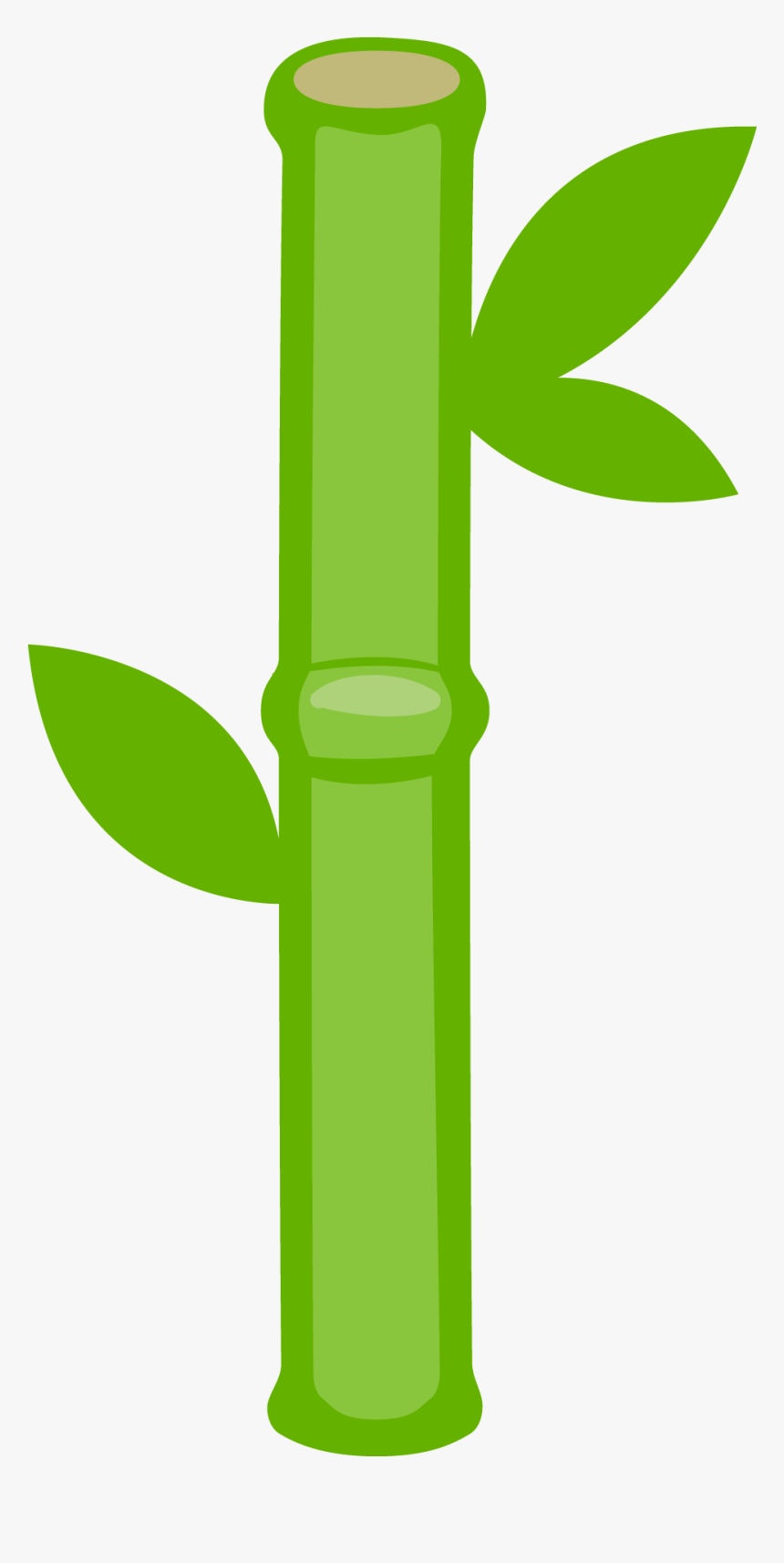 Panda Bear Png Minus - Bamboo Clipart, Transparent Png