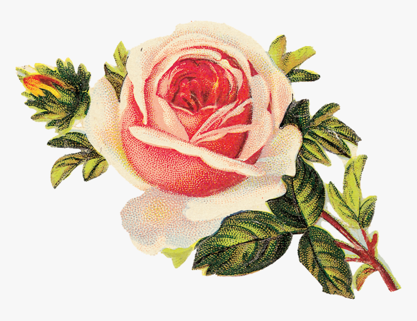 Transparent Flores Y Pajaritos Vintage Png - Cross Stitch Patterns For Roses, Png Download