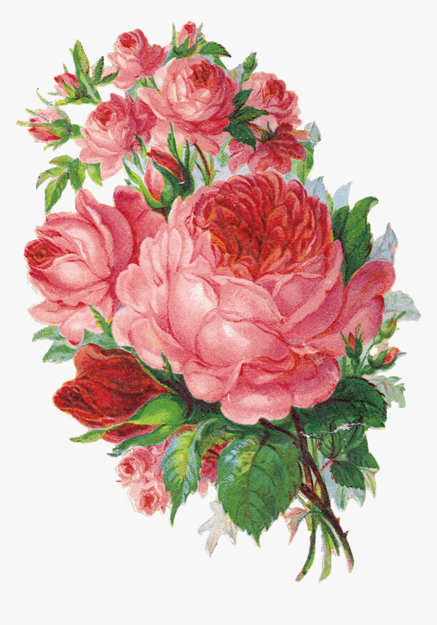 Que Es Un Sabado Sin Flores, Es El Toque Especial, - English Rose Watercolor Png, Transparent Png