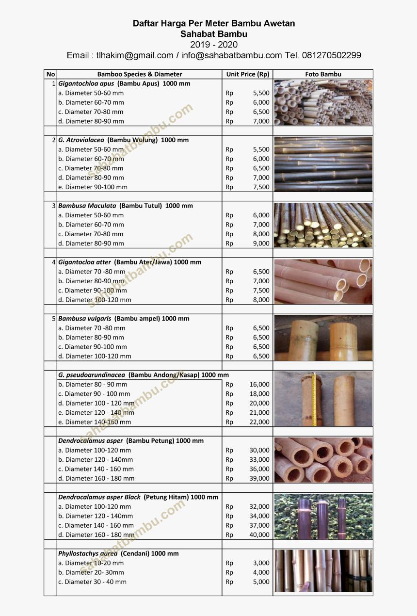 /bamboo/harga Bambu Per Spesies Medium - Harga Bambu Petung Per Batang 2019, HD Png Download