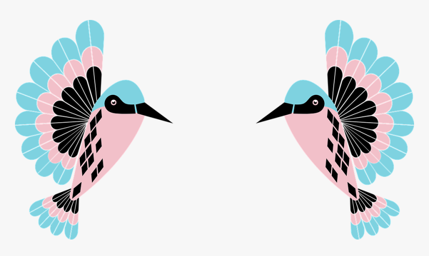 Colibrí, Pajarito, Aves, Aves Tropicales, Naturaleza - Burung Kecil Png, Transparent Png