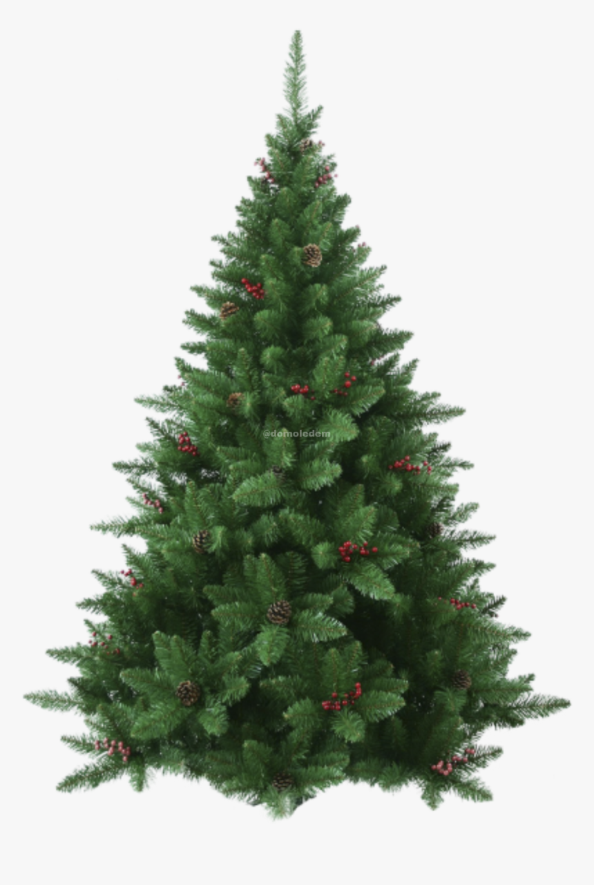 Fraser Tree - 5.5 Ft Christmas Tree Unlit, HD Png Download