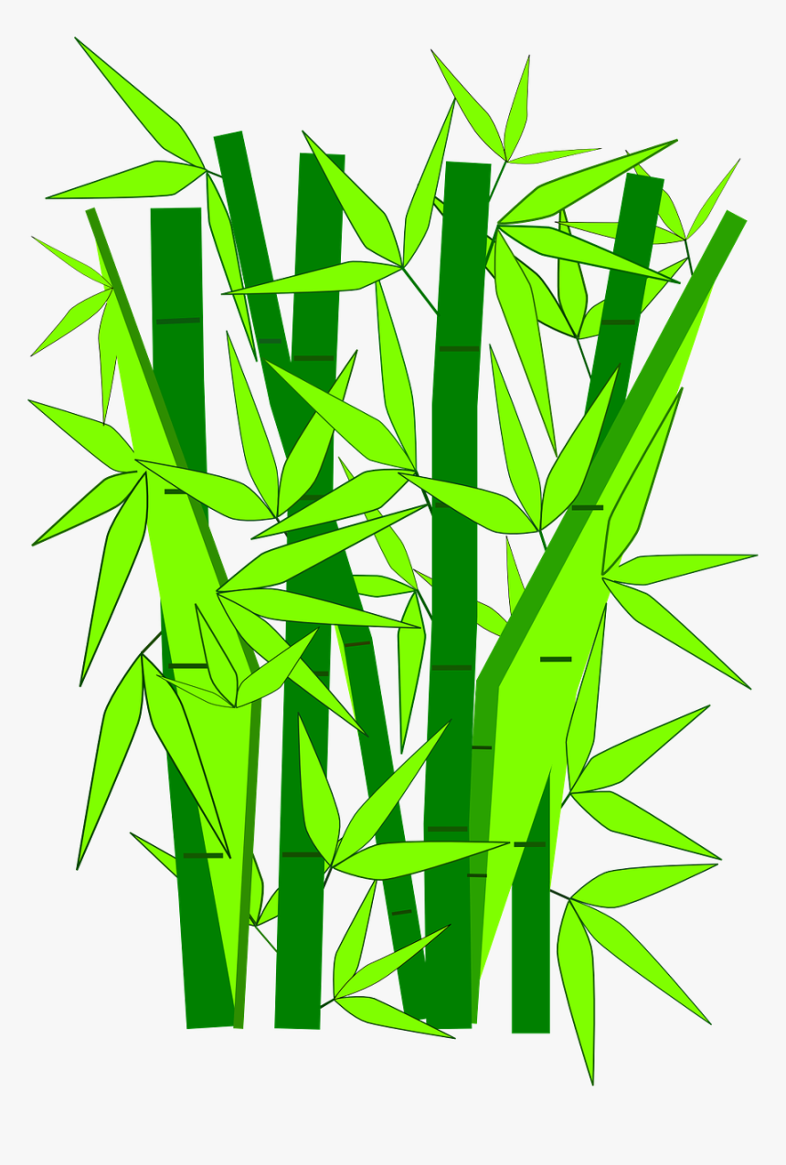 Transparent Bamboo Clipart - Clipart Of Bamboo, HD Png Download