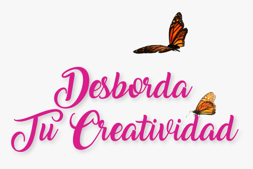 Lycaenid, HD Png Download