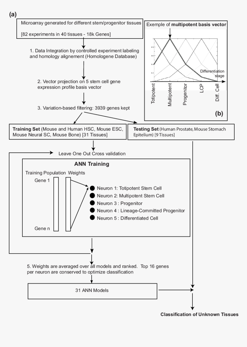 Diagram, HD Png Download