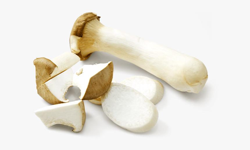 King Oyster Mushroom 01 - Pleurotus Eryngii, HD Png Download