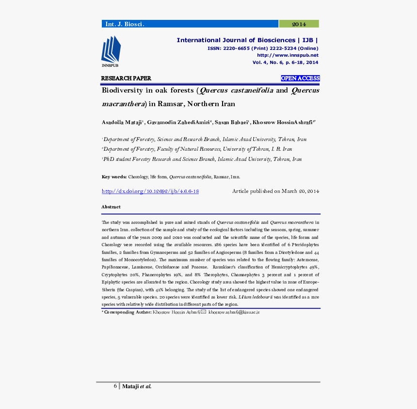 Onion Intersection And Segment Ways, HD Png Download