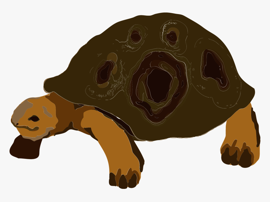 リクガメ イラスト フリー, HD Png Download