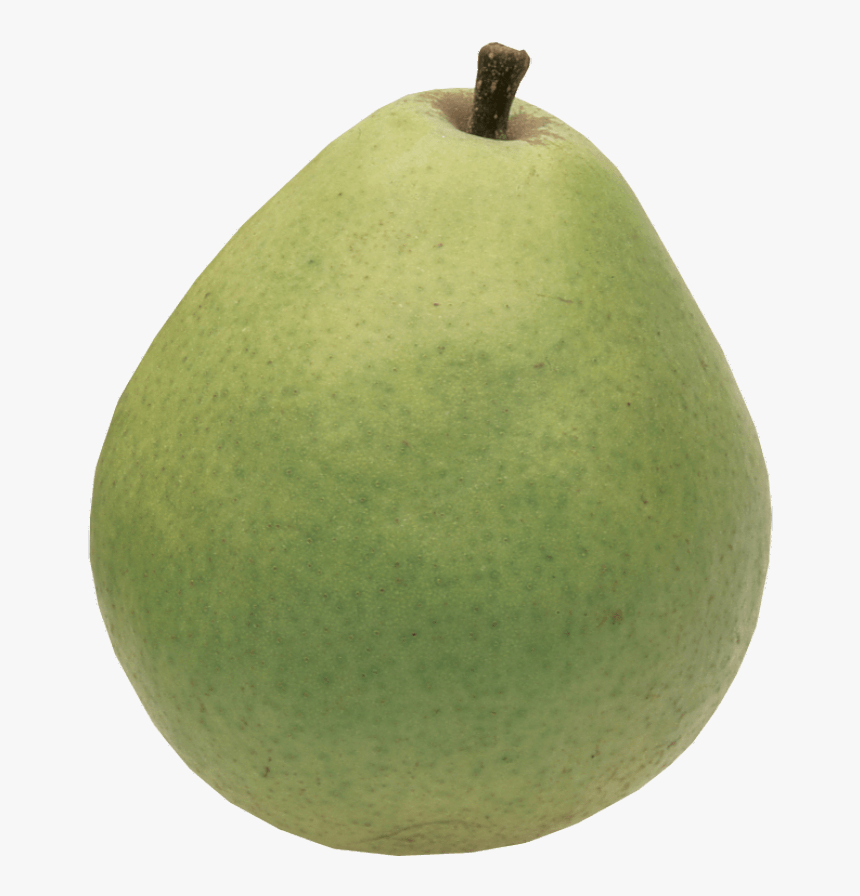 Honor Society Where Are You, HD Png Download