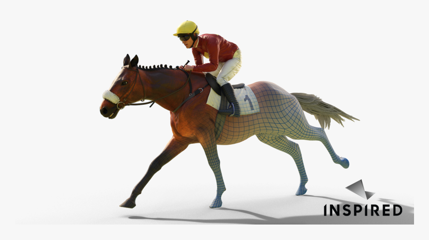 Stallion, HD Png Download